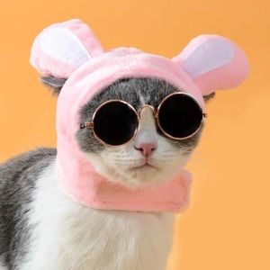 Meet your Posher, Alexandra